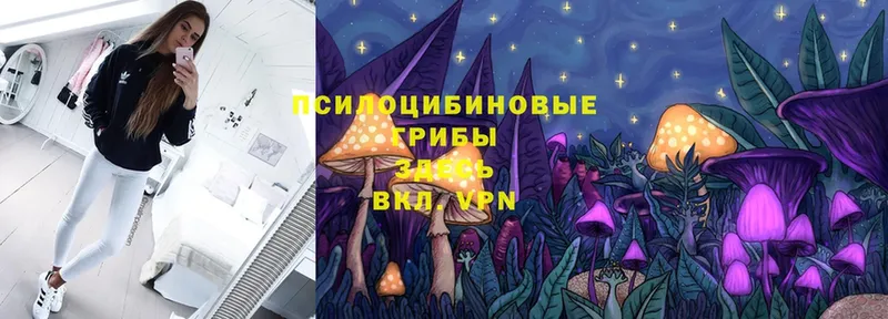 Псилоцибиновые грибы Psilocybe  Верхнеуральск 